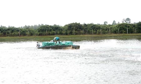 Ông Dương Ngọc Minh – Chủ tịch Hội đồng Quản trị - Tổng Giám đốc HVG: “Trị giá thực tế của hvg ở thời điểm hiện tại phải hơn 5.000 tỷ đồng”