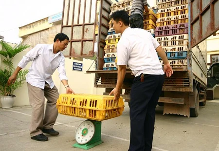 Bán công khai giấy kiểm dịch động vật