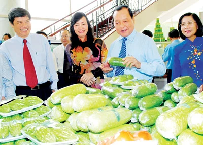 Xây dựng nông thôn mới ở TPHCM - Đi đúng hướng