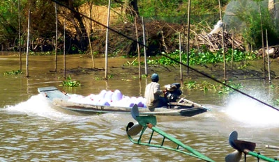 Biên giới Tây Nam tấp nập... hàng lậu