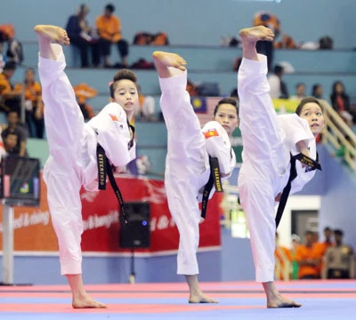 Taekwondo bận rộn trong năm 2012