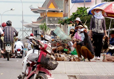 Bán gia cầm trên cầu