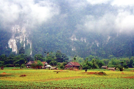 Trường Sơn càng đầy