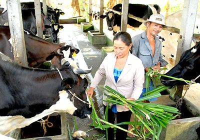 Tìm vốn cho nông thôn mới