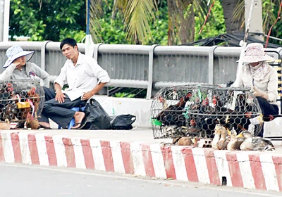 Làm gì để đảm bảo an toàn vệ sinh thực phẩm?