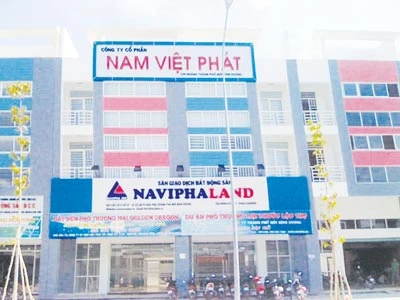 Nam Việt Phát mở rộng lĩnh vực bất động sản