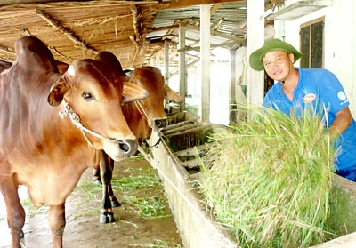 Triệu phú chân đất