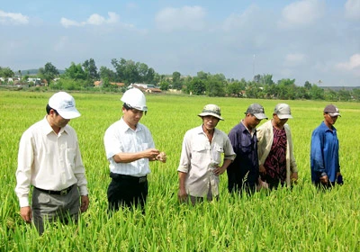 Thung lũng xanh Phú Thiện