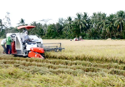 Giải pháp phát triển bền vững