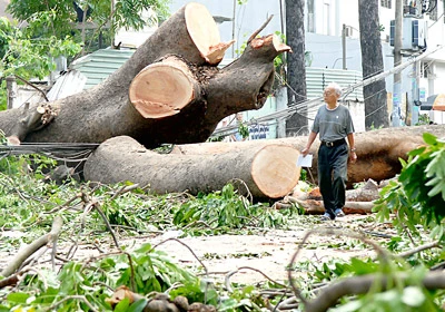 Bài học từ cơn bão số 1