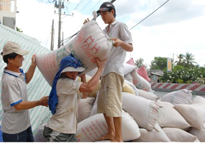 Khuyến khích doanh nghiệp, tổ chức, cá nhân tham gia vào hoạt động dự trữ quốc gia