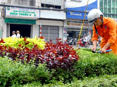 Chung tay xây dựng thành phố văn minh, hiện đại - Từ những việc nhỏ