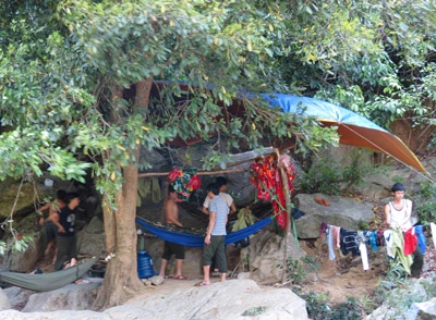 Vụ đốn sưa cổ thụ trong rừng cấm ở Quảng Bình - Lâm tặc “mua đường” vận chuyển của ai?