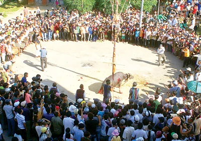 Buôn làng vào hội