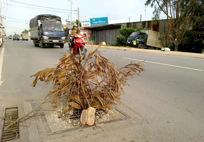 Hiểm nguy rình rập