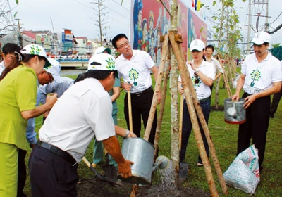 200 cây Giáng hương đã được trồng do “Quỹ 1 triệu cây xanh cho Việt Nam” tài trợ