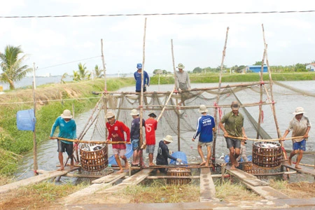 Ông Dương Ngọc Minh – Phó Chủ tịch VASEP: “Cần tái cơ cấu các doanh nghiệp thủy sản thua lỗ”