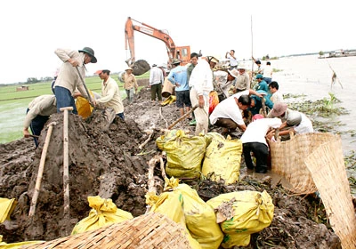 Cấp bách phòng, chống lũ ở ĐBSCL