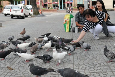 Nét đẹp thành phố bình yên