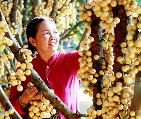 Huyện sinh thái làm du lịch