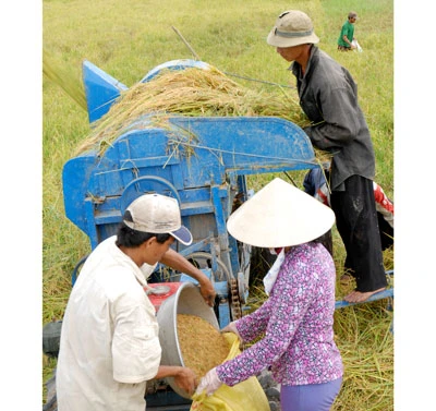 Ưu tiên mua hết lúa gạo hàng hóa