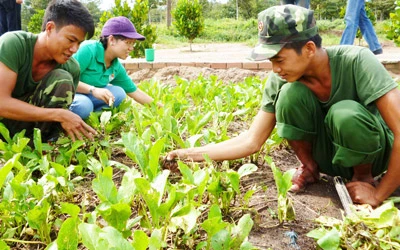 Hội trại “Bác Hồ với báo chí” lần IV