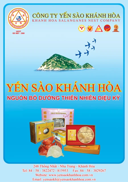 Yến sào Khánh Hòa - Sản vật quý hiếm từ đảo yến thiên nhiên Khánh Hòa