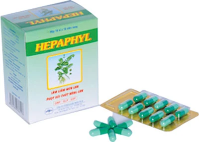 Hepaphyl® - Hỗ trợ giảm men gan, phục hồi chức năng gan