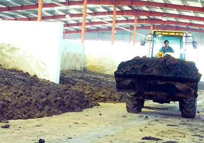 Vụ hơn 4.000 tấn bùn thải Nhà máy xử lý nước thải Bình Hưng: Không thể mãi chạy theo xử lý sự vụ
