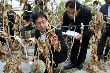 Hàn Quốc: Khu vực nổ nhà máy hóa chất là vùng “thảm họa đặc biệt”