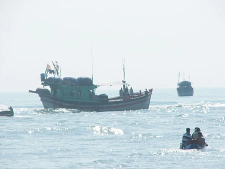 Phú Yên: Hơn 60 tàu câu cá ngừ đại dương lại ra khơi