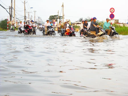 TPHCM: Triển khai các phương án ứng phó với triều cường kết hợp xả lũ