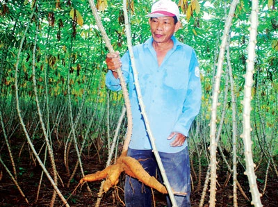 Nhà máy “nhầm chỗ”, dân lãnh hậu quả