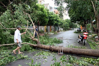 Bão số 8 đã suy yếu, để lại hậu quả nặng nề