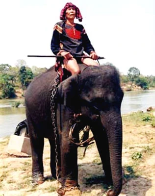 Huyền thoại Ama Kông – người nổi tiếng về tài săn bắt và thuần dưỡng voi rừng - qua đời
