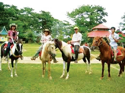 Du lịch ngựa trong sương