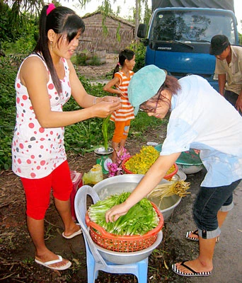 Kiếm tiền triệu nhờ hẹ nước