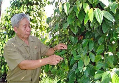 Làm giàu trên chiến trường xưa