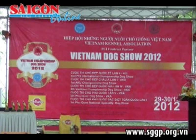 Cuộc thi chó đẹp Việt Nam 2012