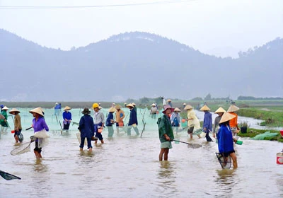 Đến hẹn lại... rươi