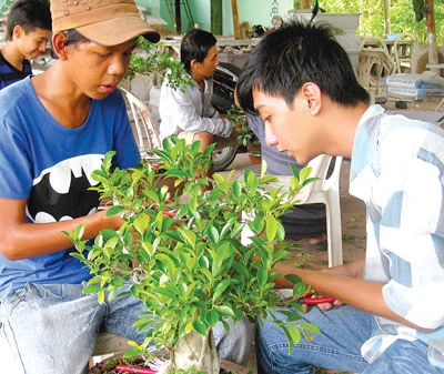 Đồng bằng sông Cửu Long: Tất bật cung ứng hàng tết