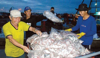 Làm giàu từ biển