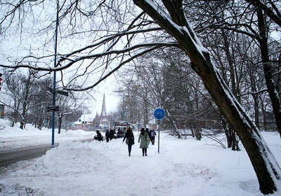 Thụy Điển, tuyết và báo - Bài 1: Đi trong bão tuyết