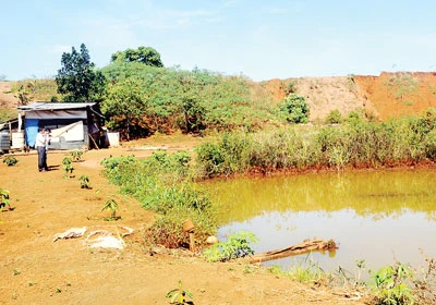 Đắk Nông: Hồ thủy lợi bị lấn chiếm