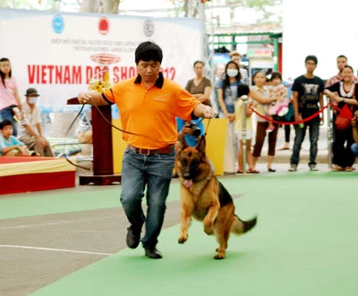 Cuộc thi chó đẹp Việt Nam 2012