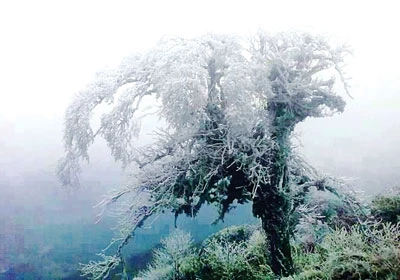 Băng tuyết phủ trắng núi đồi Hoàng Liên Sơn