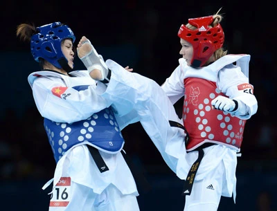 Thể thao Việt Nam 1 năm nhìn lại: Taekwondo và judo mờ nhạt