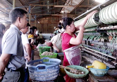 Nông dân làm du lịch