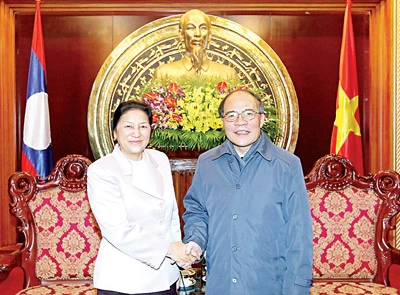 Việt Nam - Lào: Nhất trí cao về các biện pháp phối hợp