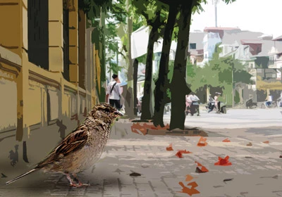 Tiếng chim trong phố